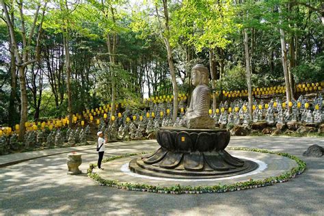 禪機山仙佛寺簡介|禪機山仙佛寺